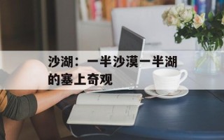 沙湖：一半沙漠一半湖的塞上奇观
