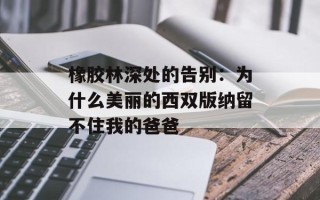 橡胶林深处的告别：为什么美丽的西双版纳留不住我的爸爸