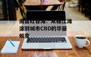 南昌红谷滩：从赣江滩涂到城市CBD的华丽蜕变