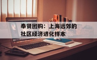 奉贤团购：上海远郊的社区经济进化样本