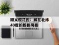 顺义樱花园：藏在北纬40度的粉色风暴