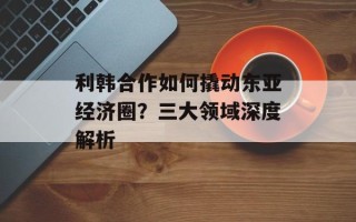 利韩合作如何撬动东亚经济圈？三大领域深度解析