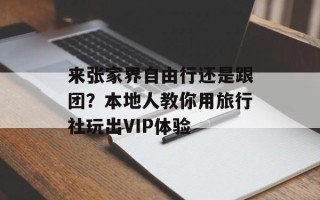来张家界自由行还是跟团？本地人教你用旅行社玩出VIP体验