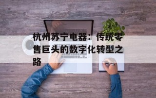 杭州苏宁电器：传统零售巨头的数字化转型之路