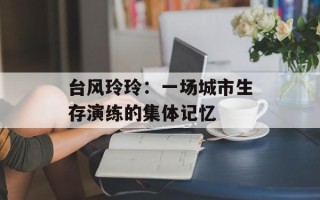 台风玲玲：一场城市生存演练的集体记忆