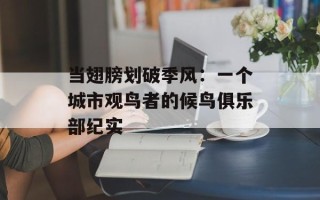 当翅膀划破季风：一个城市观鸟者的候鸟俱乐部纪实
