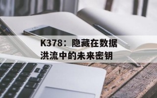 K378：隐藏在数据洪流中的未来密钥