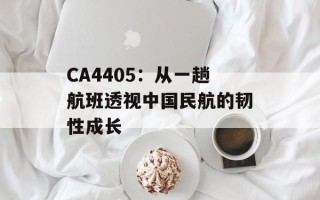 CA4405：从一趟航班透视中国民航的韧性成长