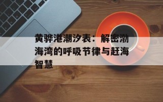 黄骅港潮汐表：解密渤海湾的呼吸节律与赶海智慧