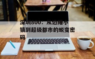 深圳800：从边陲小镇到超级都市的蜕变密码