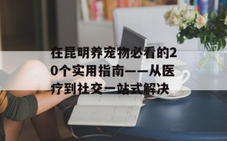 在昆明养宠物必看的20个实用指南——从医疗到社交一站式解决