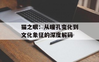 猫之眼：从瞳孔变化到文化象征的深度解码