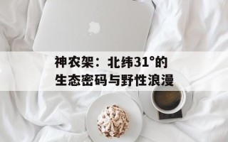 神农架：北纬31°的生态密码与野性浪漫