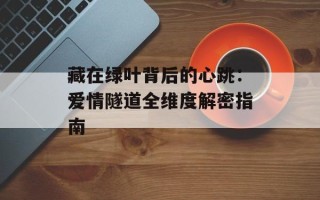 藏在绿叶背后的心跳：爱情隧道全维度解密指南