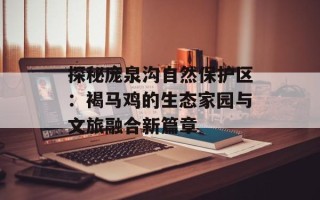 探秘庞泉沟自然保护区：褐马鸡的生态家园与文旅融合新篇章