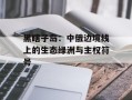 黑瞎子岛：中俄边境线上的生态绿洲与主权符号