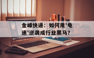 金峰快递：如何用'龟速'逆袭成行业黑马？