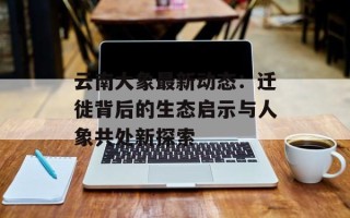 云南大象最新动态：迁徙背后的生态启示与人象共处新探索