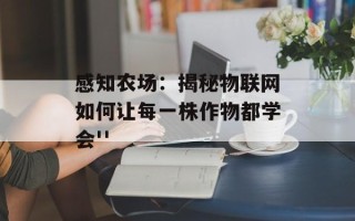 感知农场：揭秘物联网如何让每一株作物都学会''