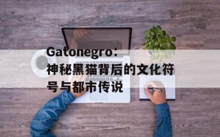 Gatonegro：神秘黑猫背后的文化符号与都市传说