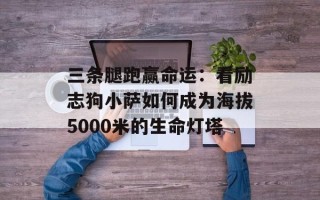 三条腿跑赢命运：看励志狗小萨如何成为海拔5000米的生命灯塔