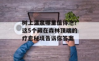 树上温泉哪里值得泡？这5个藏在森林顶端的疗愈秘境告诉你答案