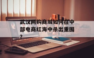武汉网购商城如何在中部电商红海中杀出重围？