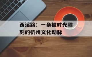 西溪路：一条被时光雕刻的杭州文化动脉