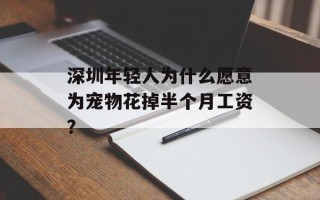 深圳年轻人为什么愿意为宠物花掉半个月工资？