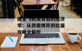 便宜飞机票背后的经济学：从供需博弈到捡漏攻略全解析