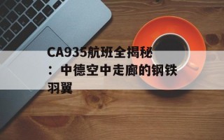 CA935航班全揭秘：中德空中走廊的钢铁羽翼