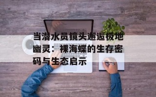 当潜水员镜头邂逅极地幽灵：裸海蝶的生存密码与生态启示