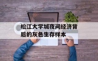松江大学城夜间经济背后的灰色生存样本