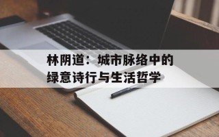 林阴道：城市脉络中的绿意诗行与生活哲学