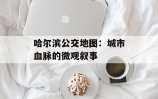 哈尔滨公交地图：城市血脉的微观叙事