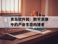 青岛软件园：数字浪潮中的产业生态构建者