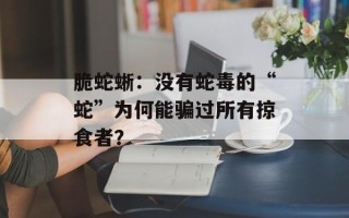 脆蛇蜥：没有蛇毒的“蛇”为何能骗过所有掠食者？