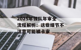 2025年领队年审全流程解析：这些细节不注意可能被卡审
