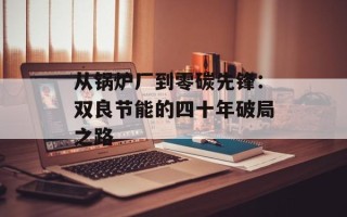 从锅炉厂到零碳先锋：双良节能的四十年破局之路