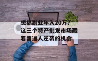 想搞副业年入20万？这三个特产批发市场藏着普通人逆袭的机会