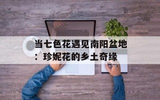 当七色花遇见南阳盆地：珍妮花的乡土奇缘