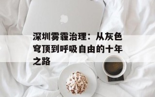 深圳雾霾治理：从灰色穹顶到呼吸自由的十年之路