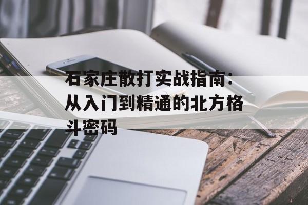 石家庄散打实战指南：从入门到精通的北方格斗密码-第1张图片-