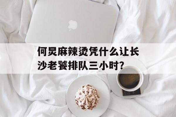 何炅麻辣烫凭什么让长沙老饕排队三小时？-第1张图片-