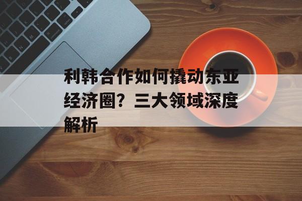 利韩合作如何撬动东亚经济圈？三大领域深度解析-第1张图片-