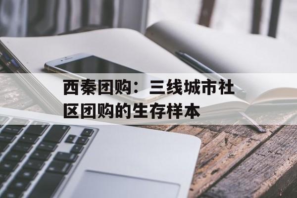 西秦团购：三线城市社区团购的生存样本-第1张图片-