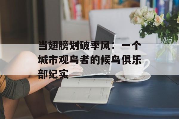 当翅膀划破季风：一个城市观鸟者的候鸟俱乐部纪实-第1张图片-