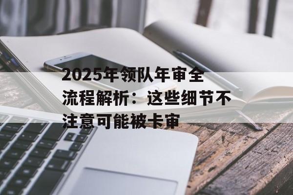 2025年领队年审全流程解析：这些细节不注意可能被卡审-第1张图片-