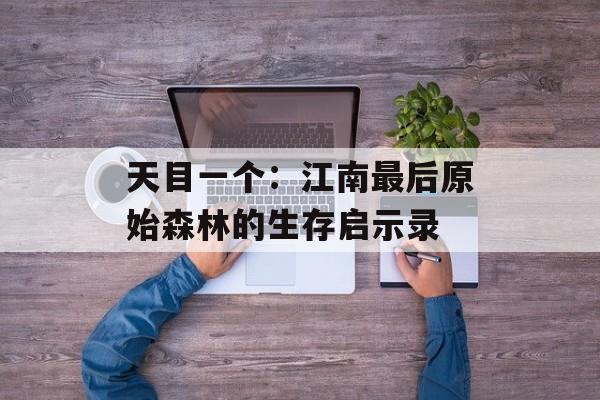 天目一个:江南最后原始森林的生存启示录-第1张图片- 天目一个:江南最后原始森林的生存启示录-第1张图片-