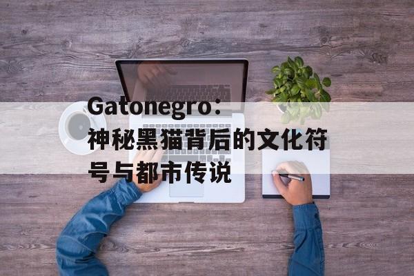 Gatonegro：神秘黑猫背后的文化符号与都市传说-第1张图片-